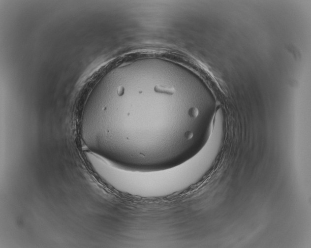 X0000110971448200907101339