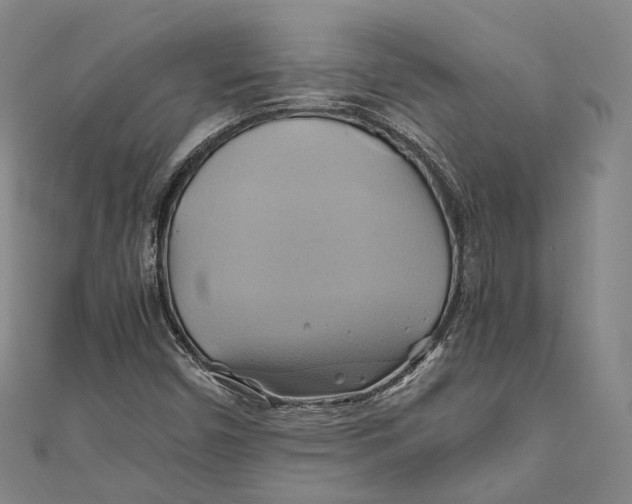 X0000110971450200907101339