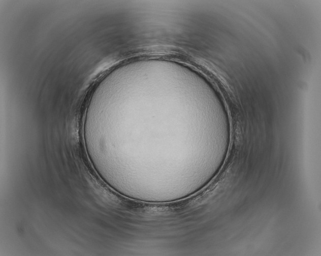 X0000110971451200907101339