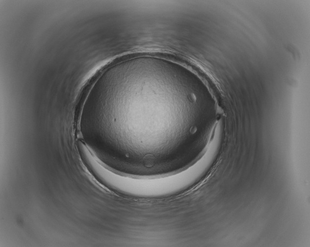 X0000110971452200907101339