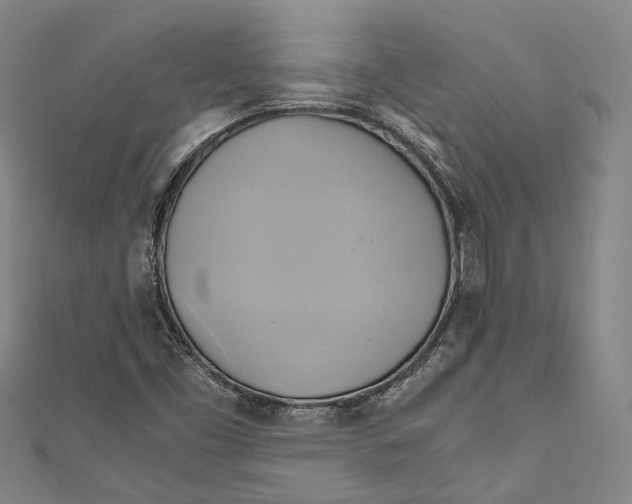 X0000110971453200907101339