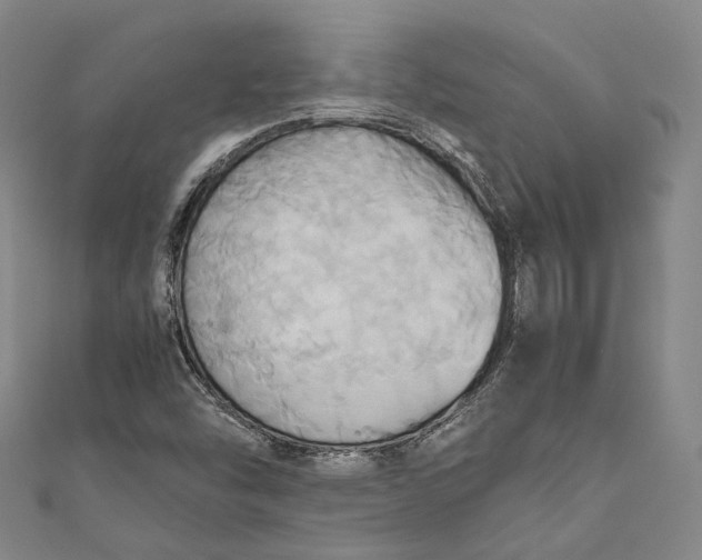 X0000110971454200907101339