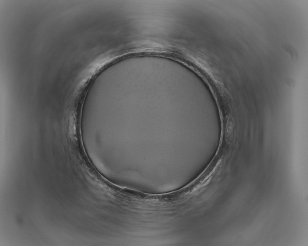 X0000110971455200907101339