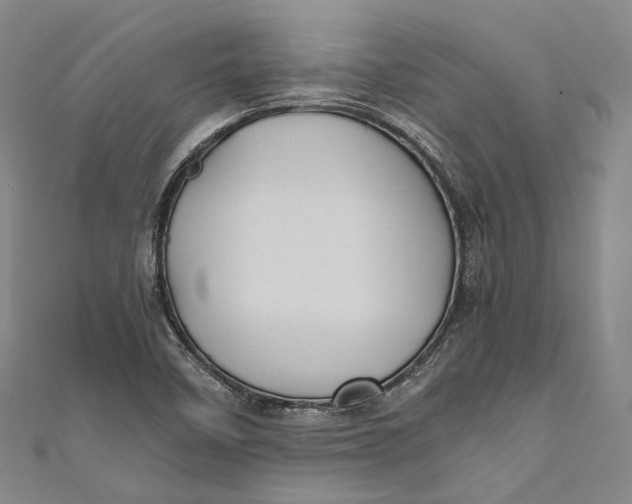 X0000110971458200907101339