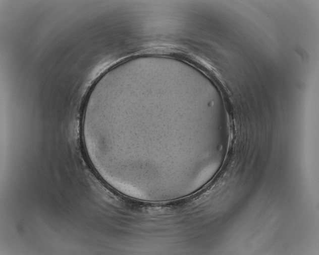 X0000110971459200907101339