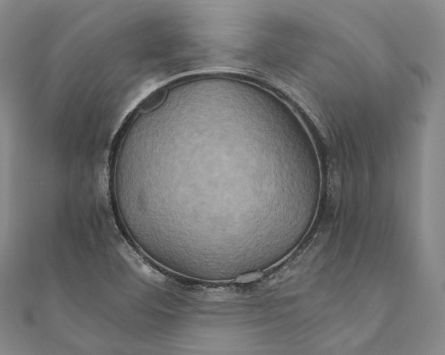 X0000110971460200907101339