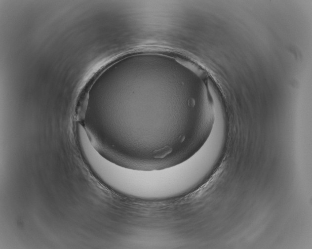 X0000110971461200907101339