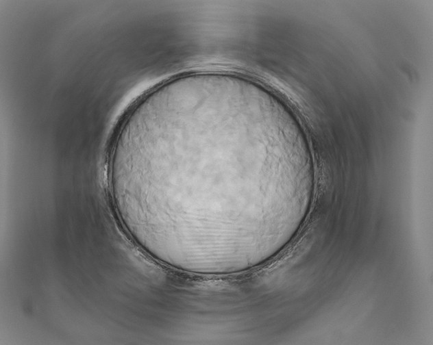 X0000110971462200907101338