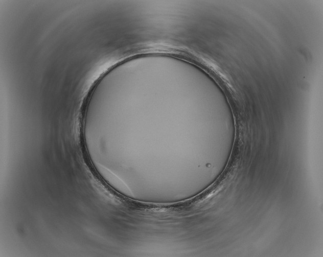 X0000110971463200907101338