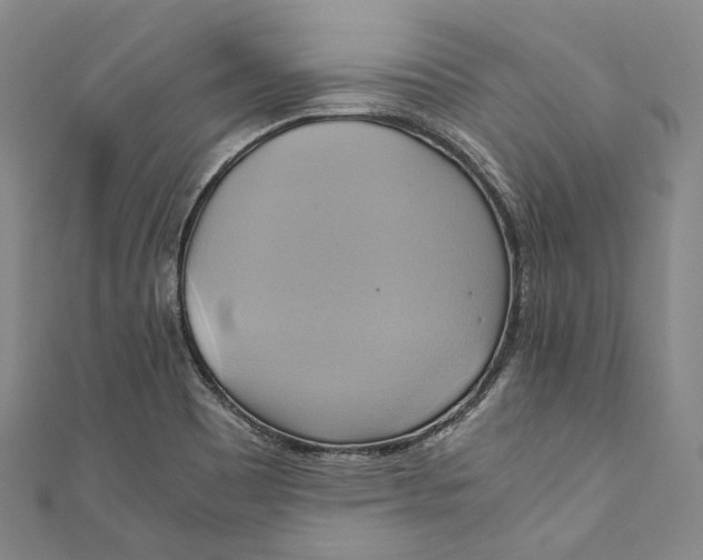 X0000110971465200907101338