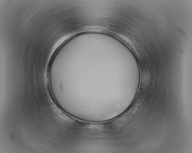 X0000110971466200907101338