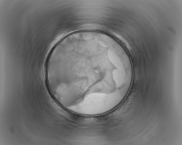 X0000110971467200907101338