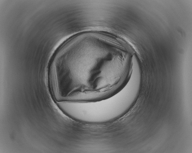 X0000110971468200907101338