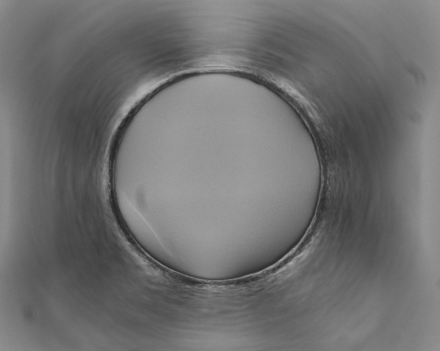 X0000110971469200907101338