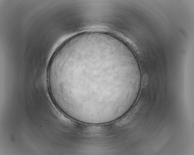 X0000110971470200907101338