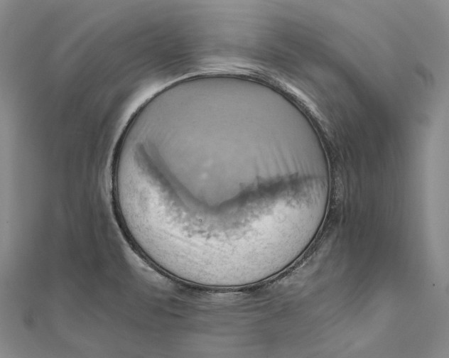 X0000110971471200907101338