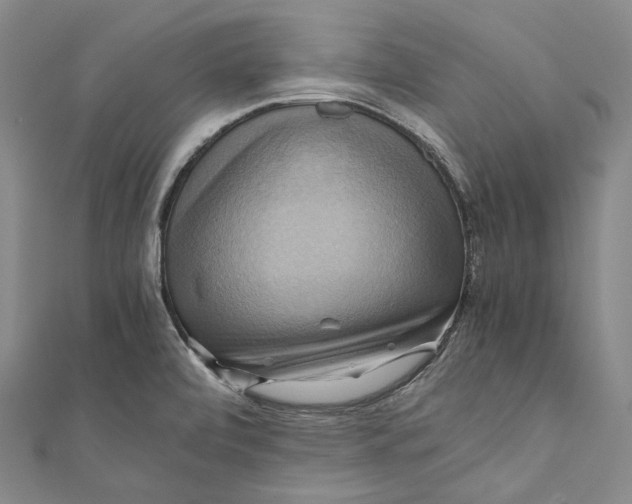 X0000110971472200907101338