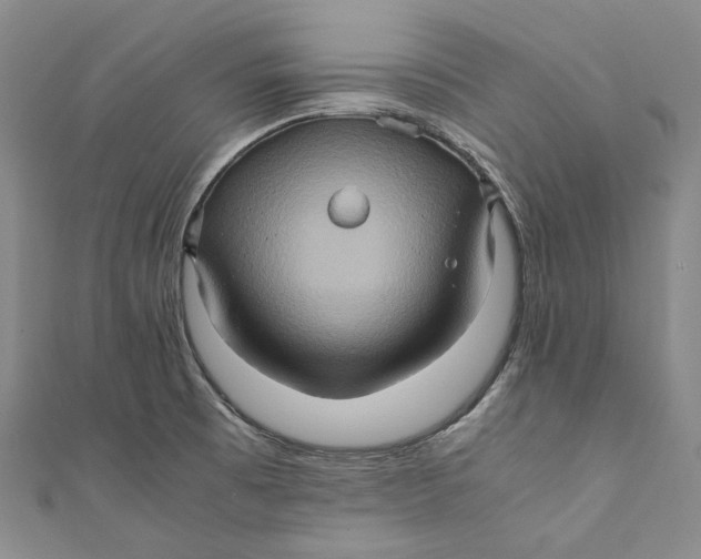 X0000110971473200907101338