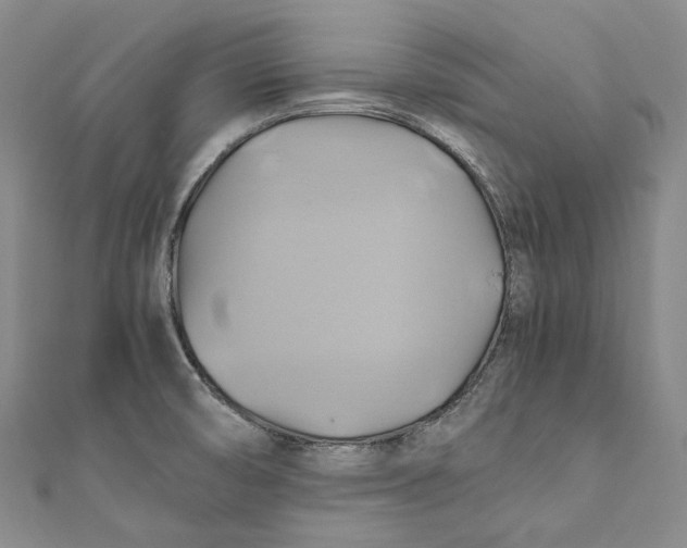 X0000110971474200907101338