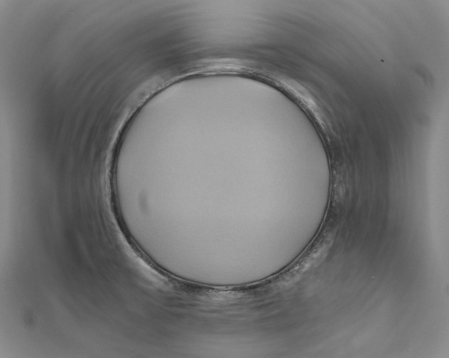 X0000110971475200907101338