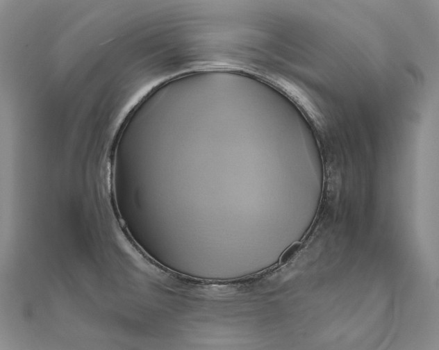 X0000110971476200907101338