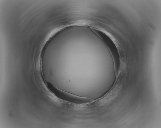 X0000110971477200907101338