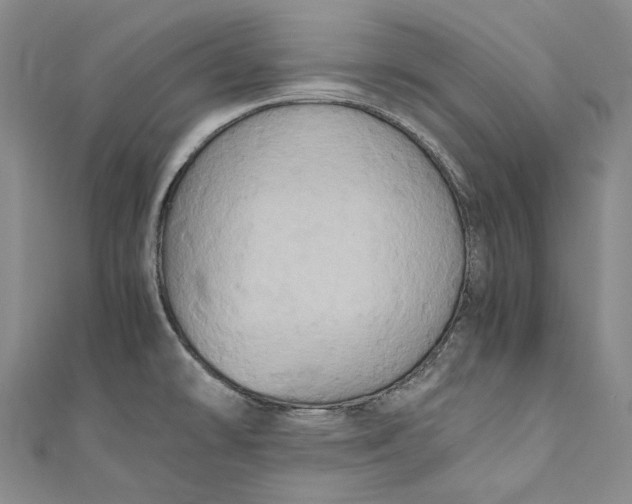 X0000110971478200907101338