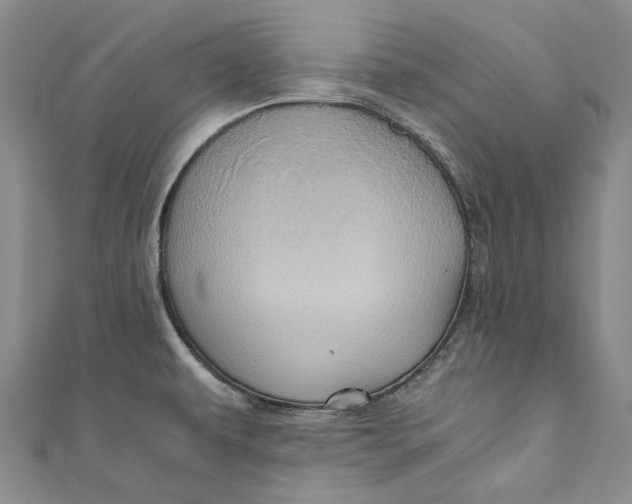 X0000110971479200907101338