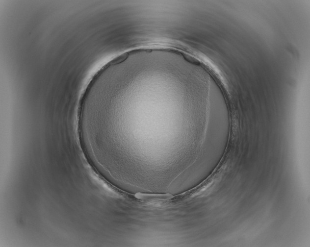 X0000110971480200907101338