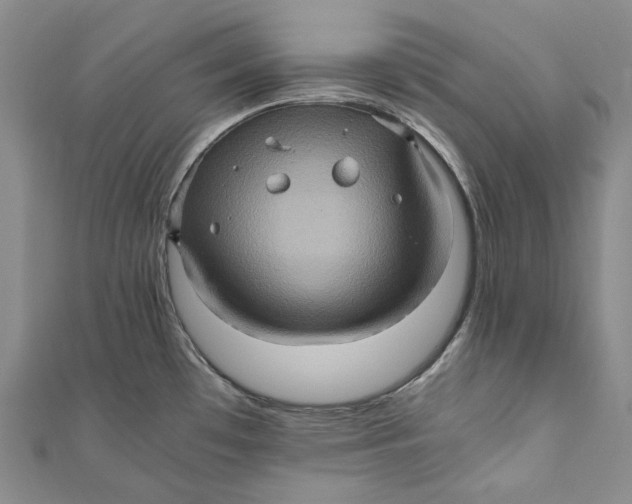 X0000110971481200907101338