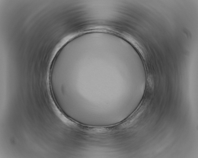 X0000110971482200907101338