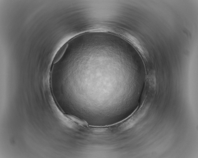 X0000110971484200907101338