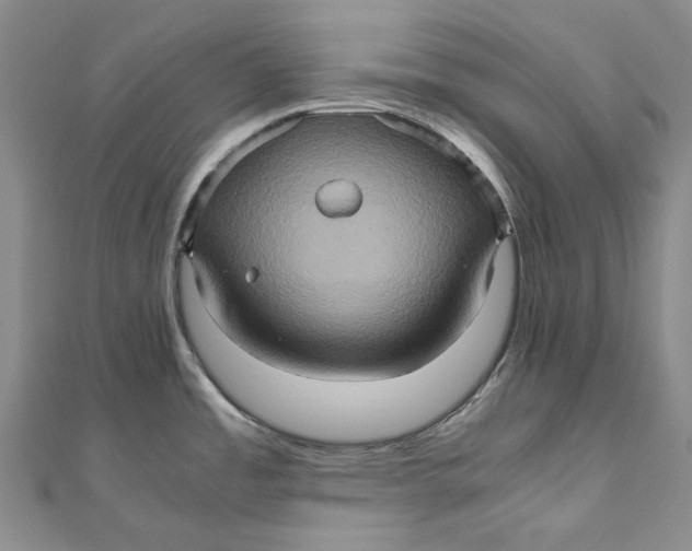 X0000110971485200907101338