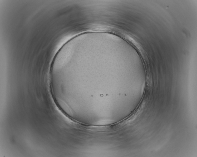 X0000110971487200907101338