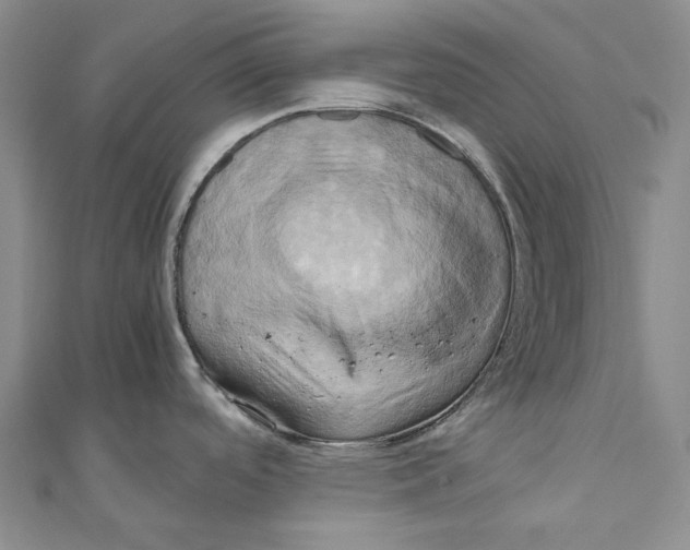 X0000110971488200907101338