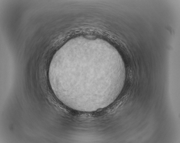 X0000110971489200907101338