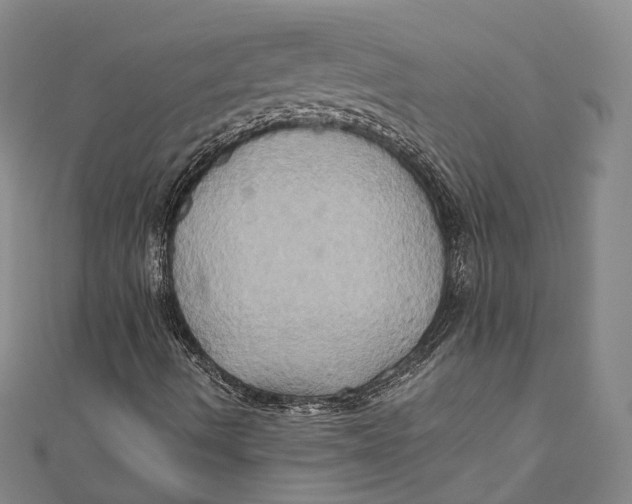 X0000110971490200907101338