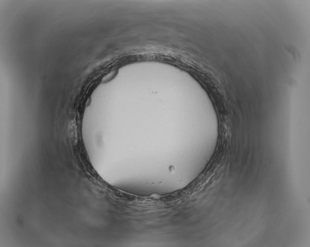 X0000110971493200907101338