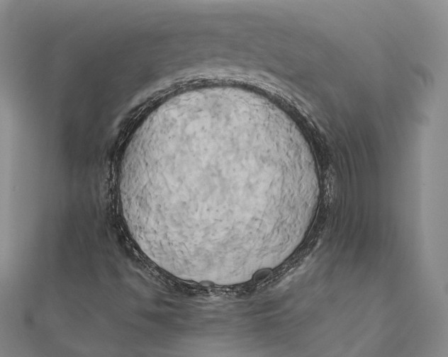 X0000110971494200907101338