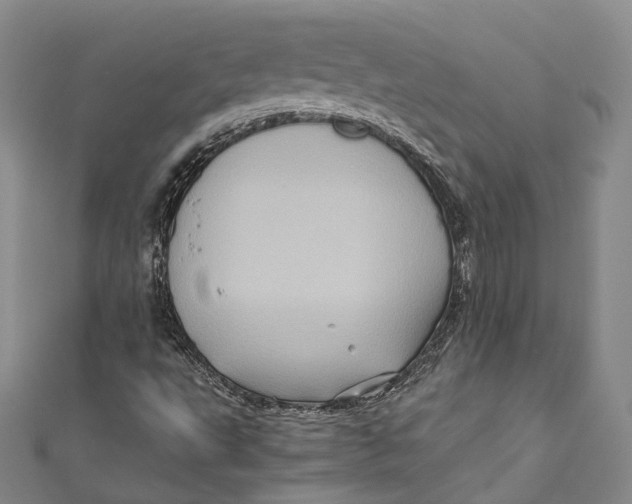 X0000110971495200907101338