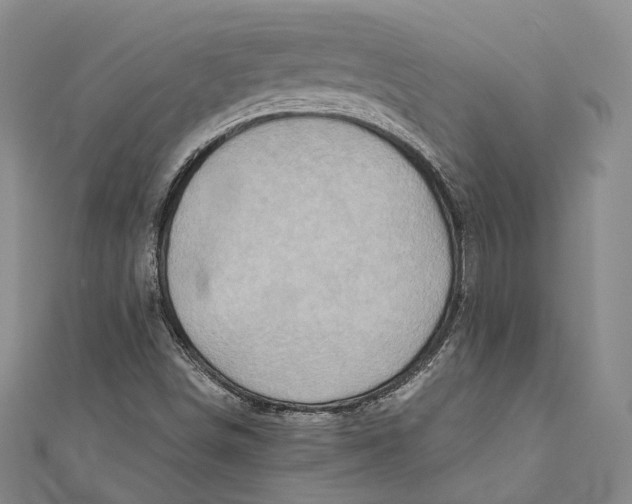 X0000110971498200907101338