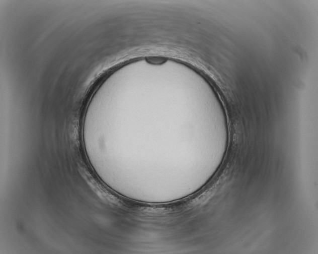 X0000110971499200907101338