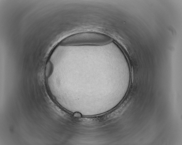 X0000110971500200907101338