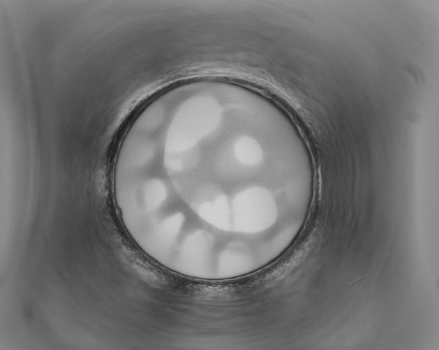 X0000110971501200907101338