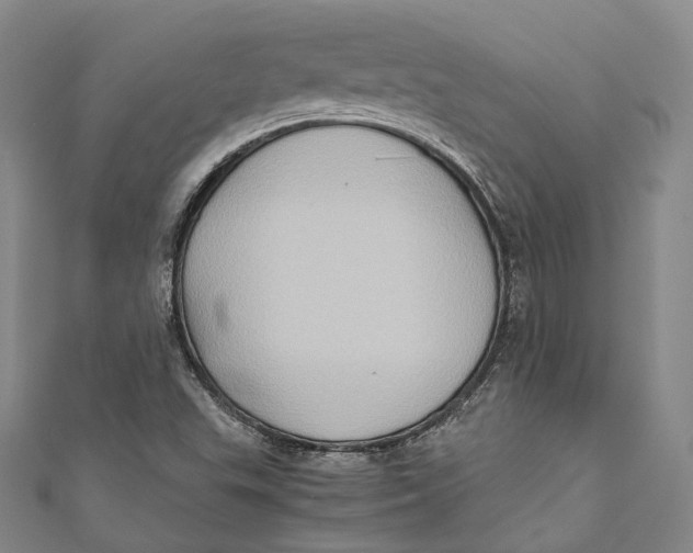 X0000110971503200907101338