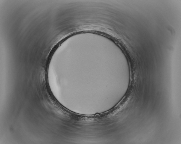 X0000110971505200907101338