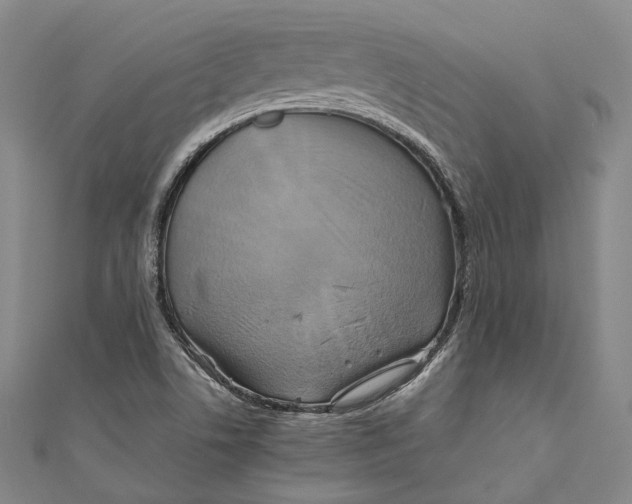 X0000110971506200907101338