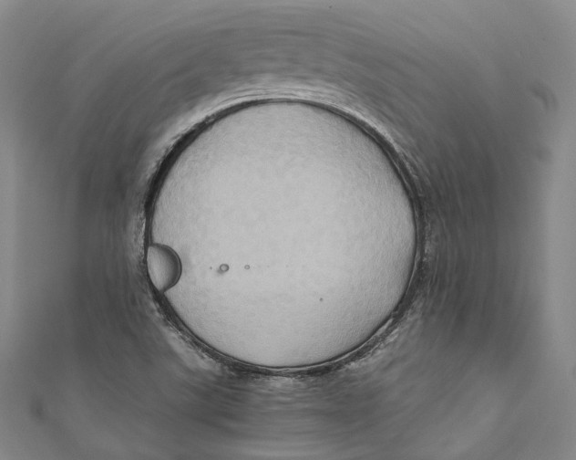 X0000110971507200907101338