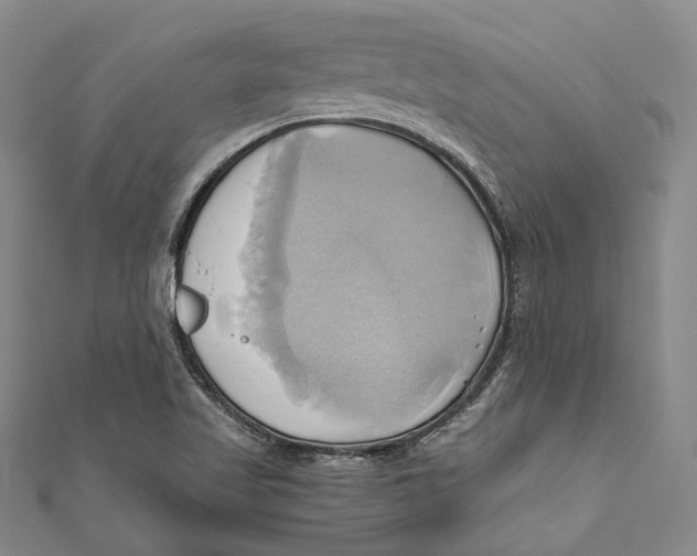 X0000110971509200907101338