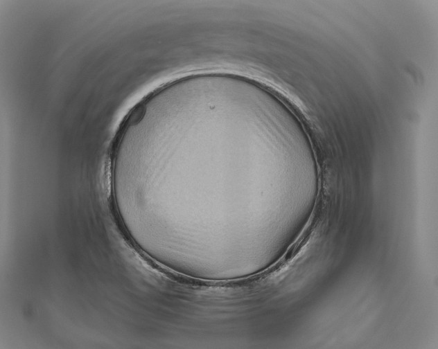 X0000110971510200907101338